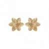 BOUCLES D'OREILLES ARGENT