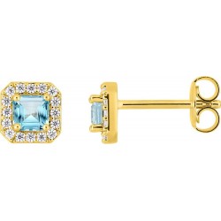 BOUCLES D'OREILLES PLAQUE OR
