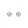 BOUCLES D'OREILLES OR 375/1000