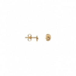 BOUCLES D'OREILLES PLAQUE OR