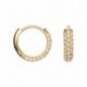 BOUCLES D'OREILLES PLAQUE OR