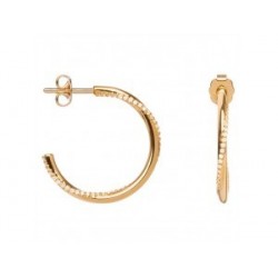 BOUCLES D'OREILLES PLAQUE OR
