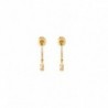 BOUCLES D'OREILLES PLAQUE OR