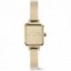 MONTRE DANIEL WELLINGTON