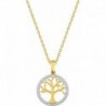 COLLIER PLAQUE OR