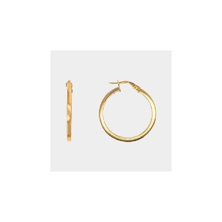 BOUCLES D'OREILLES OR 375/1000