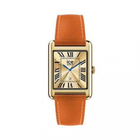 MONTRE ICE WATCH