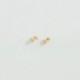 BOUCLES D'OREILLES AGATHA