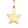 PENDENTIF PLAQUE OR