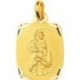MEDAILLE PLAQUE OR