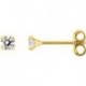 BOUCLES D'OREILLES PLAQUE OR