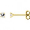 BOUCLES D'OREILLES PLAQUE OR