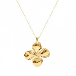 COLLIER ACIER