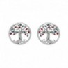 BOUCLES D'OREILLES ARGENT