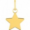 PENDENTIF OR 750/1000