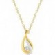 COLLIER PLAQUE OR