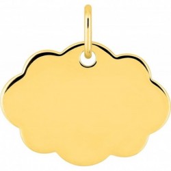 MEDAILLE PLAQUE OR