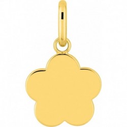 MEDAILLE PLAQUE OR