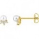 BOUCLES D'OREILLES PLAQUE OR