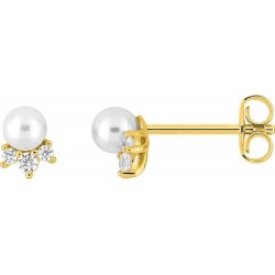 BOUCLES D'OREILLES PLAQUE OR