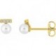 BOUCLES D'OREILLES PLAQUE OR