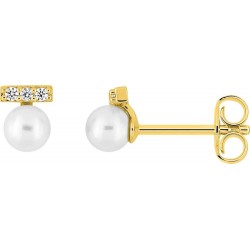BOUCLES D'OREILLES PLAQUE OR