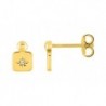 BOUCLES D'OREILLES PLAQUE OR