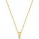 COLLIER PLAQUE OR