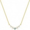 COLLIER PLAQUE OR