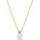 COLLIER PLAQUE OR