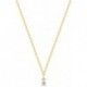 COLLIER PLAQUE OR