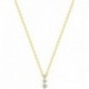 COLLIER PLAQUE OR