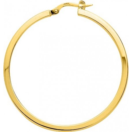 BOUCLES D'OREILLES PLAQUE OR