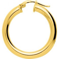 BOUCLES D'OREILLES PLAQUE OR