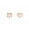 BOUCLES D'OREILLES OR 375/1000
