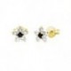 BOUCLES D'OREILLES OR 375/1000