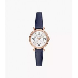 MONTRE FOSSIL