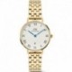 MONTRE DANIEL WELLINGTON