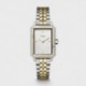 MONTRE CLUSE
